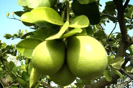 爱游戏官方入口案例展示一