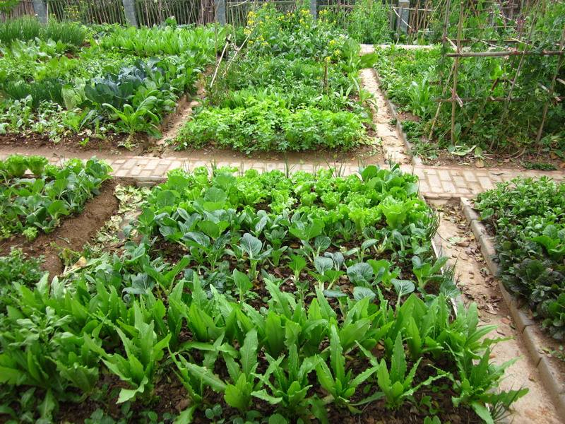 爱游戏官方入口案例展示五