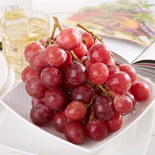 爱游戏官方入口产品名称八